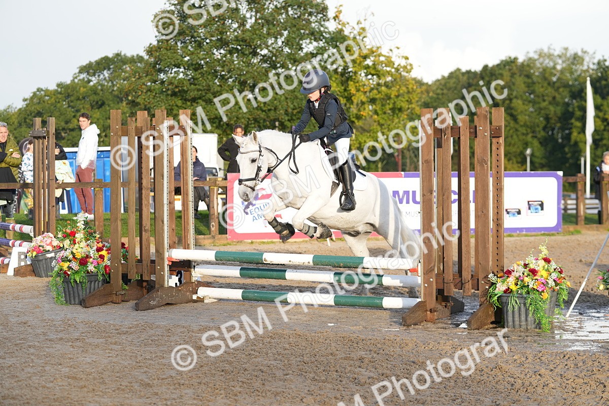 SBM_32200 - J5 - Junior Pony 50cm Championship