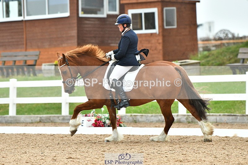 230630A-130720-02294 - Cls 8 Elementary 57