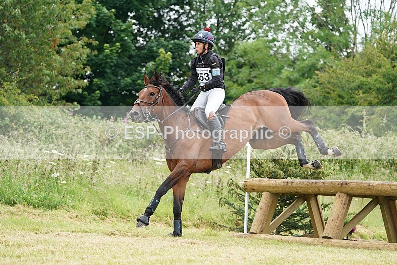 240630X-111538-6143 - 353-Hani_Milstein-COCCINELLE