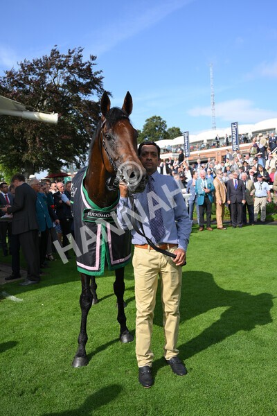 yr18082021r4-154 - Race 4 3.35pm Juddmonte International Stakes (British Champion Series race)