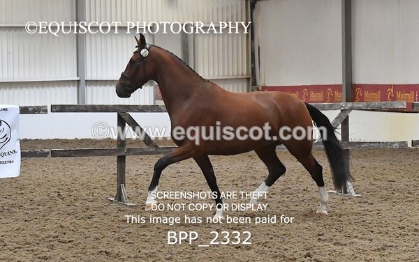 BPP_2332 - AFTERNOON 12.30 - 3.30PM