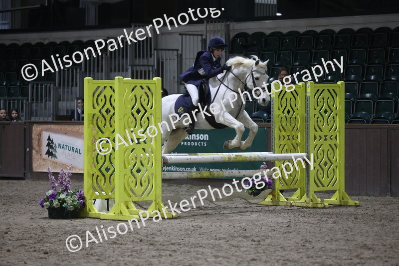 20260125-5053 - Class 5 - 80cm