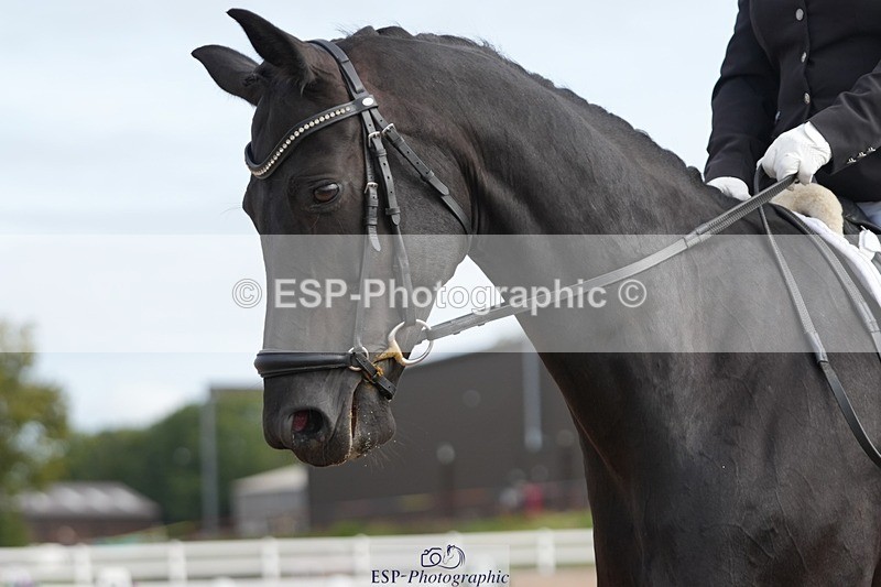 250906-101835-01467 - 003-Helen.JamesDecadent