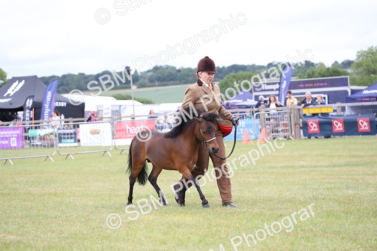 SBM_03766 - Class 23-25 - British Miniature Horse of the Year