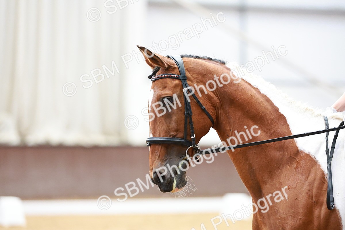 SBM_011070 - Prelim 5 - 11.38-12.48