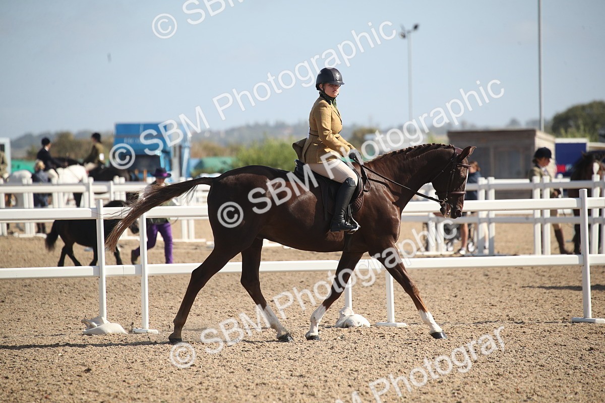 SBM_22831 - Class 602 - 2026 Area - Ridden Veteran
