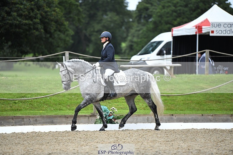 230812-103823-03413 - Cls 6 Novice Silver 10.30 to 11.55 break