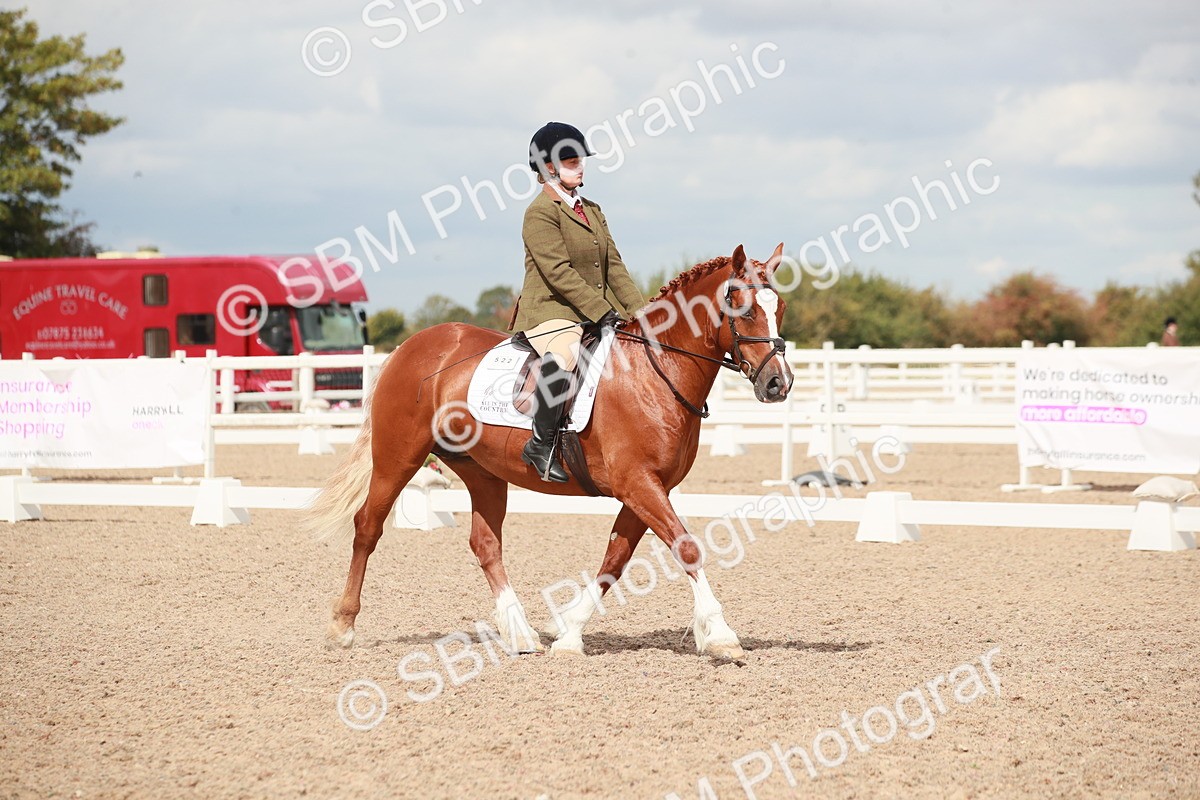 SBM_05850 - Class 32 - Novice 1