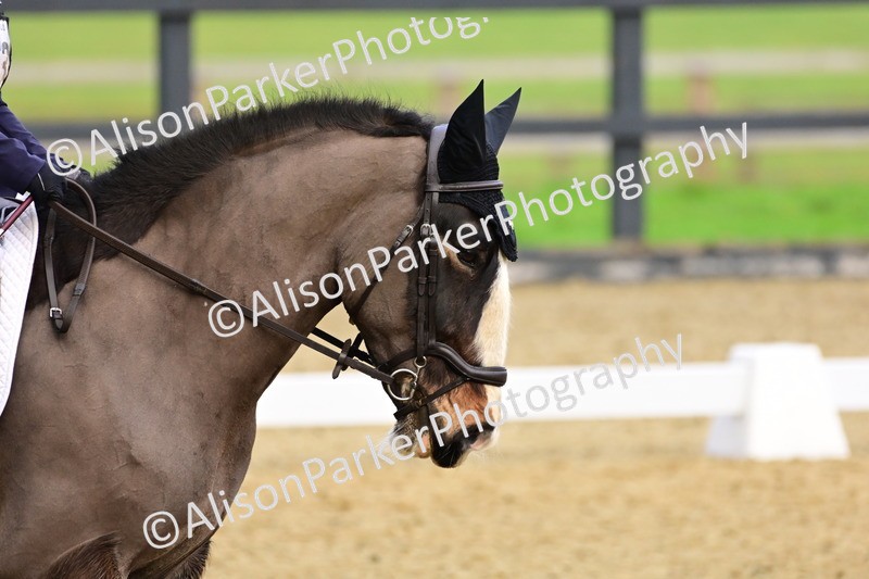 20260125-3446 - Class 13 - Intermediate