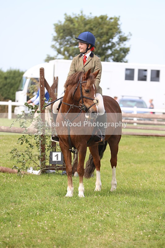 JPP_3870 - Class 23: Working Hunter 80cm