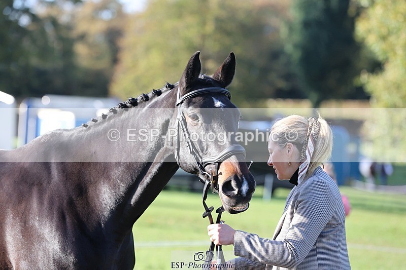 241027-093500-15369 - 421-Marie.Webber-BENNY'S.DOUBLE.DIAMOND