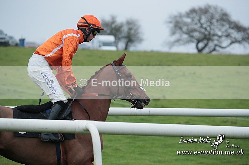 PtP 031223 489 - Wheatland Hunt PtP Chaddesley Races 03/12/23