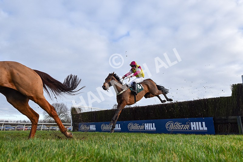 220125-Race 1-Siberian Star-9936 - Race 1