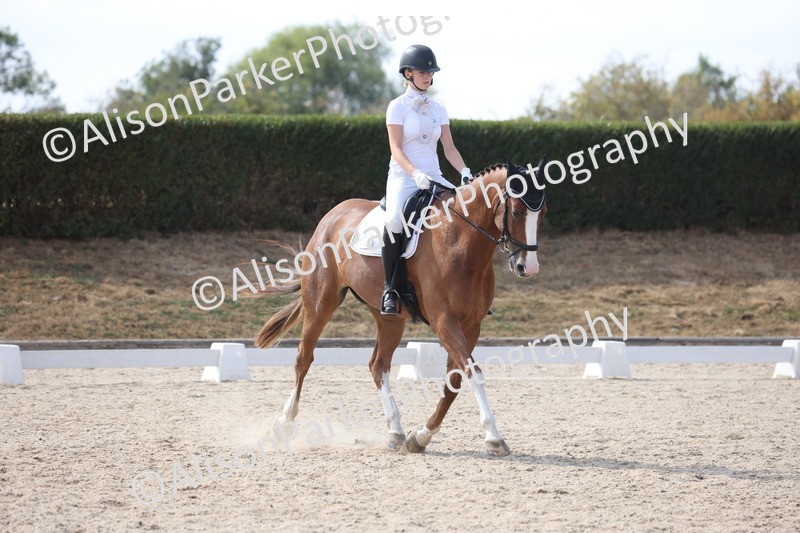 20260815-1126 - Class 6 - Novice 2