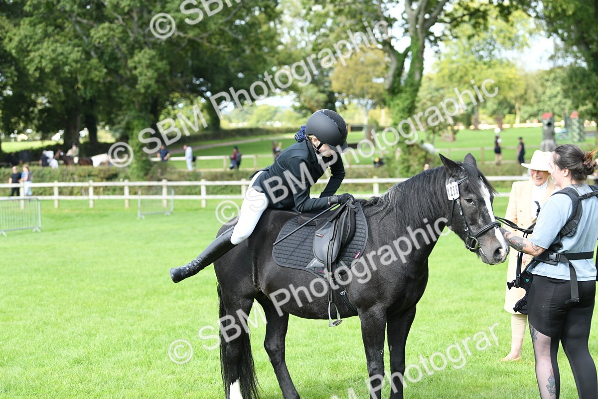 SBM_46849 - S12 - Family Horse & Pony