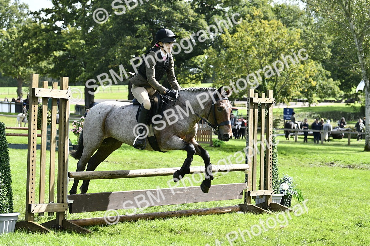 SBM_45669 - S33 - Working Hunter Pony