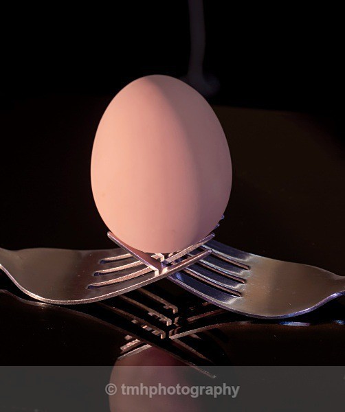Egg on Fork - Still Life / Contemporay Art