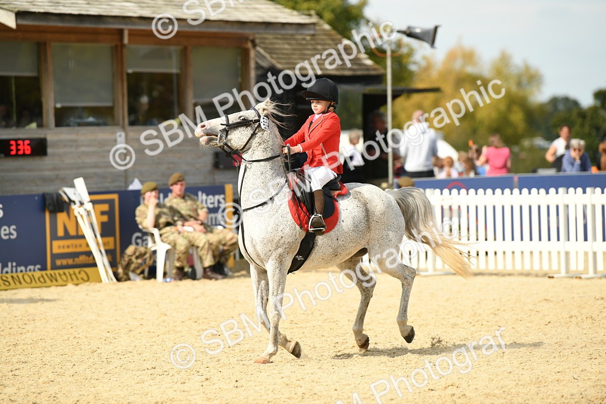 SBM_65125 - J48 - Pairs Jumping Open 70cm & 85cm