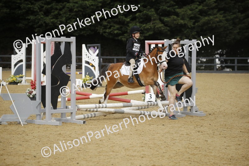 20250622-1498 - 40cm