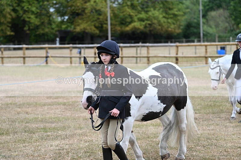 WJ7_8018 - Class 4 Prettiest Mare up to 14.2hh