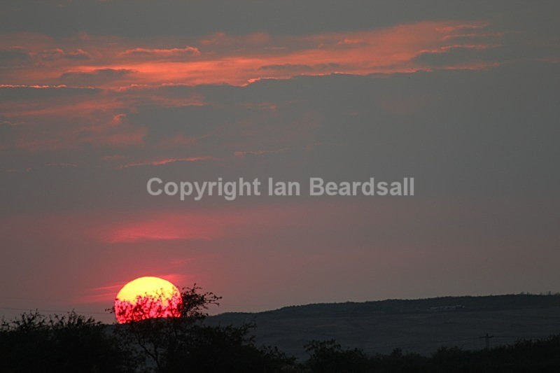 IMG_4331 - Essex