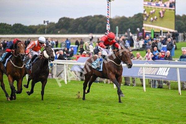 101025-Race 6-Dan Tucker-7077 - Race 6 Copper Knight Winning-Most Horse Handicap at York
