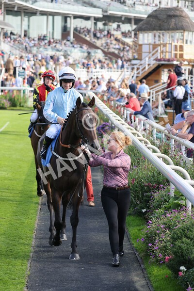 yr05092021r5-14 - Race 5 4.20pm Little Green Rascals Children's Nurseries Stakes