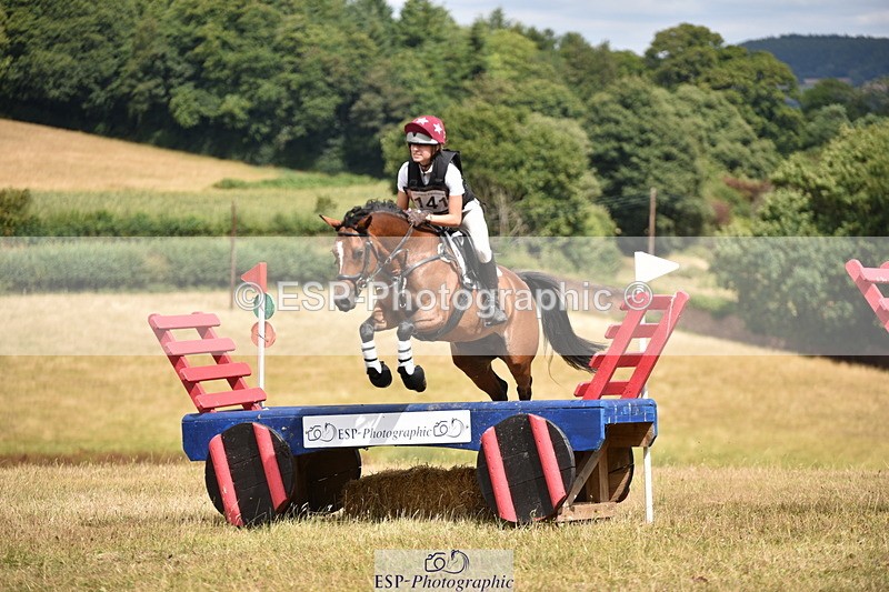 250802A-140142-04651 - C-135-Natasha.Bailey-WILD.CONFETTI