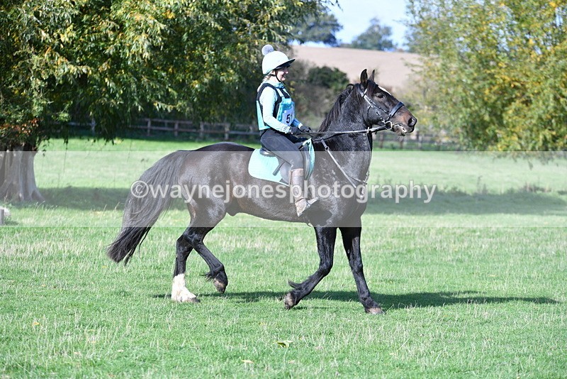 WJ5_7756 - Time 10:31 to 12:01