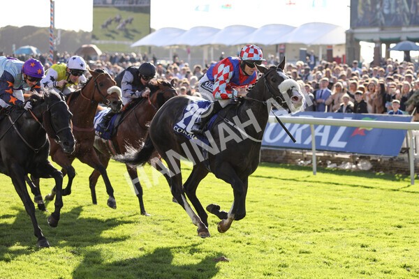 yr08102022r4-31 - Race 4 3.15pm The Coral Sprint Trophy