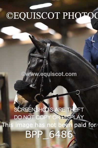 BPP_6486 - CLASS 4 British Novice/ 90cm Open