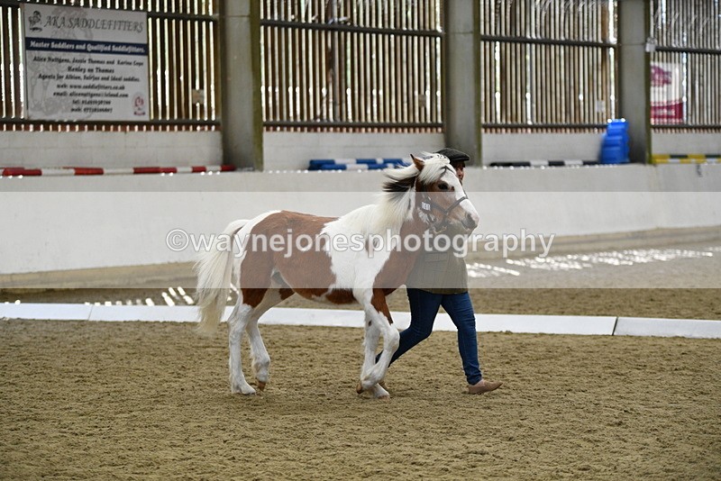 WJ5_4947 - Class 7 In hand coloured / odd coloured