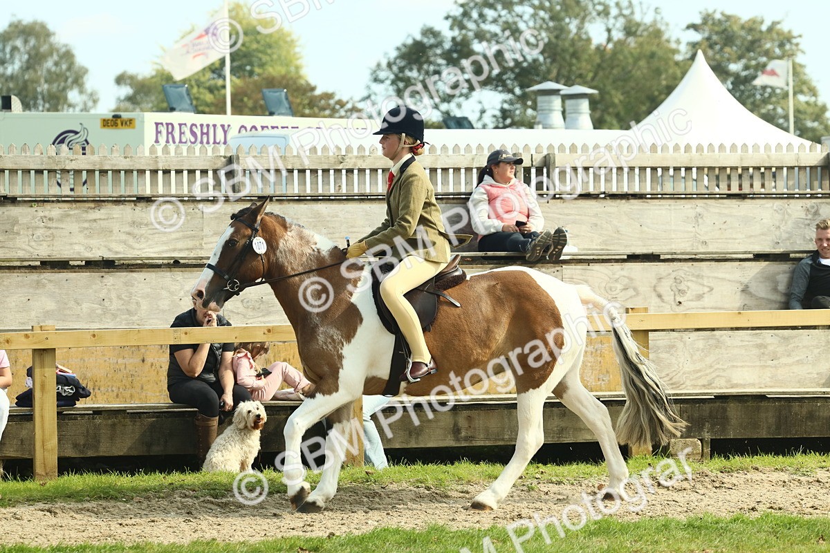 SBM_67653 - S56 - Coloured Pony Ridden