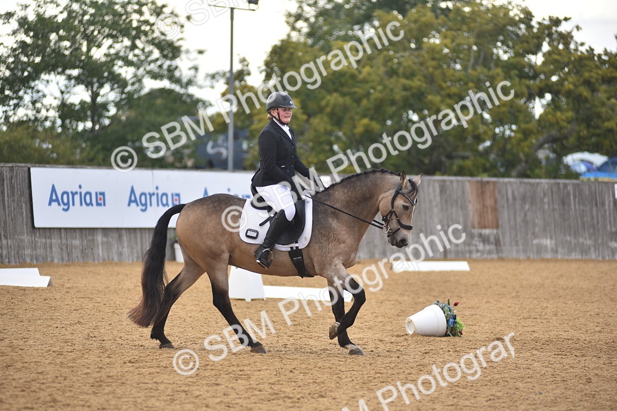 SBM_11343 - D15 - Small Tour Championship Novice 1