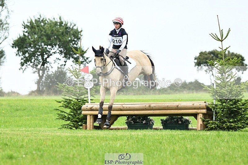 240831A-151627-04815 - 210-Zara.Head-FOURFIELDS.X.FAKTOR