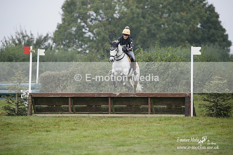 WWHT 171021 0204 - Novice Restricted (0.80m)  17/10/21