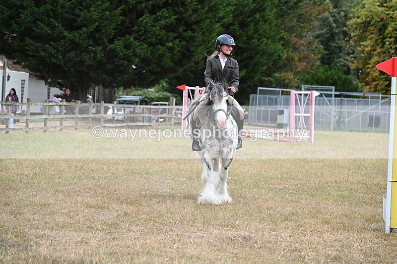 WJ6_9706 - Class 12 Minimus Jumping 45cm