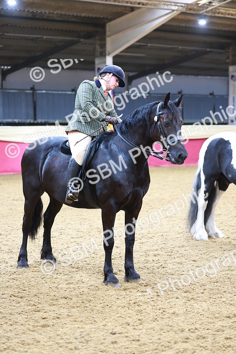 SBM_09822 - Class 102 - HOYS Veteran Qualifier - Ridden Veteran