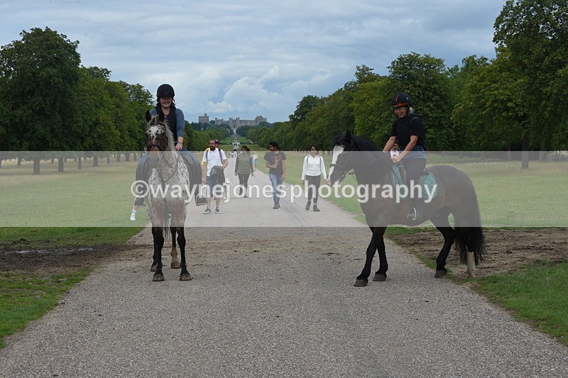 TT3_9655 - Time at Crossing 11:28 to 13:16