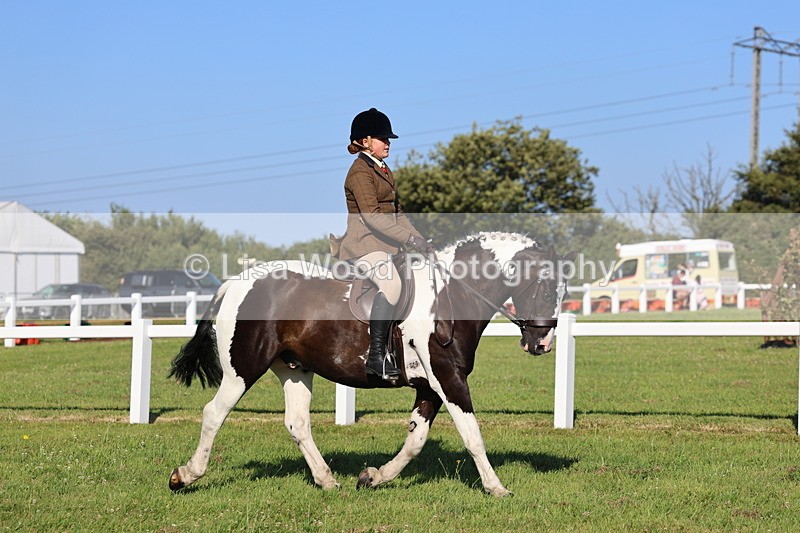 IMG_1368 - Class 28: Ridden Plaited Coloured Pony