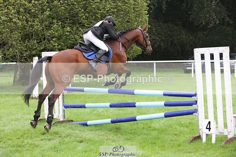 230805-103407-00381 - SJ 10 to 11