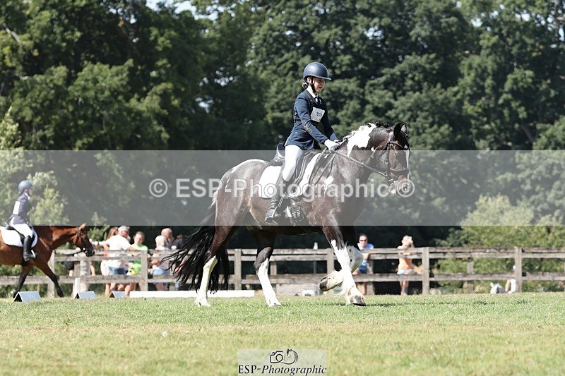 250823A-121143-29431 - Arena D