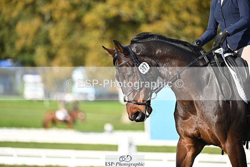 251024A-152310-14038 - E-397-Verity.Leggett