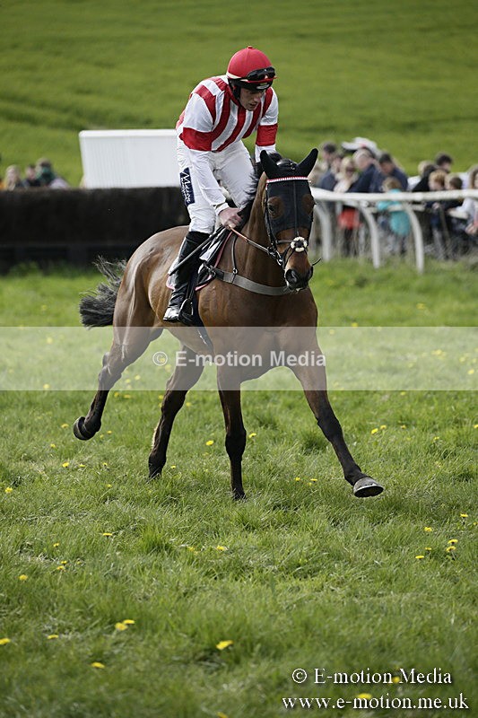 PtP 170417 417 - Old Berks Point-to-Point Lockinge 17/04/17