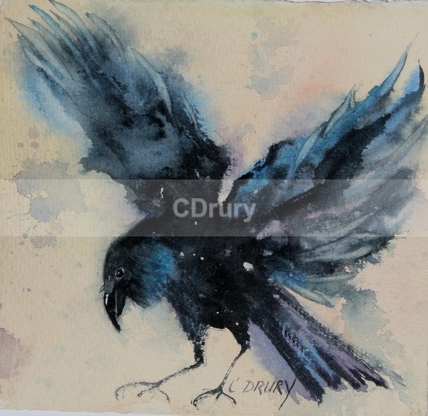 Free Fall SOLD - Archived
