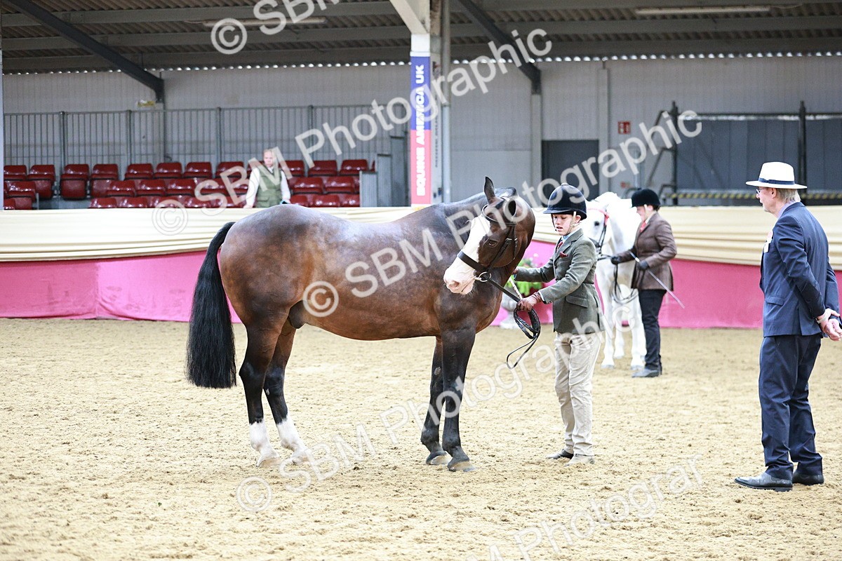 SBM_01248 - Class 3A - Area IH Pre-Vet