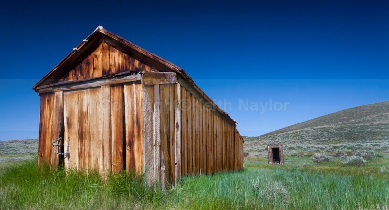 The Red Shed - Latest Work