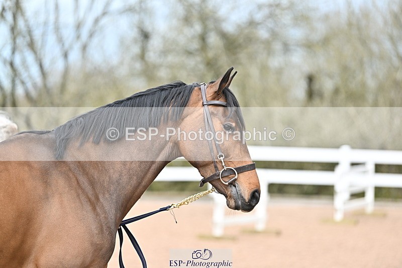 240417A-120706-00075 - 12pm to 1pm