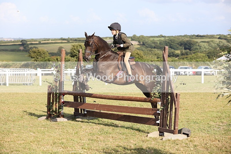 JPP_3260 - Class 21: Working Hunter 80cm