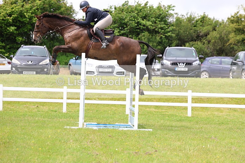 3E7A7089 - Class 12: Senior Foxhunter/1.20 open
